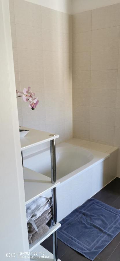 Monteurwohnung 1 Bitterfeld מראה חיצוני תמונה